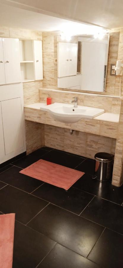 liège 4420 rue jean Jaurès 45 grande maison joyeuse avec terrasse 30m2 pour 8 personnes maximum Saint-Nicolas  Esterno foto