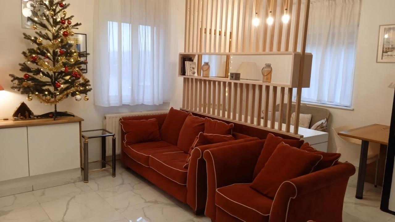 liège 4420 rue jean Jaurès 45 grande maison joyeuse avec terrasse 30m2 pour 8 personnes maximum Saint-Nicolas  Esterno foto