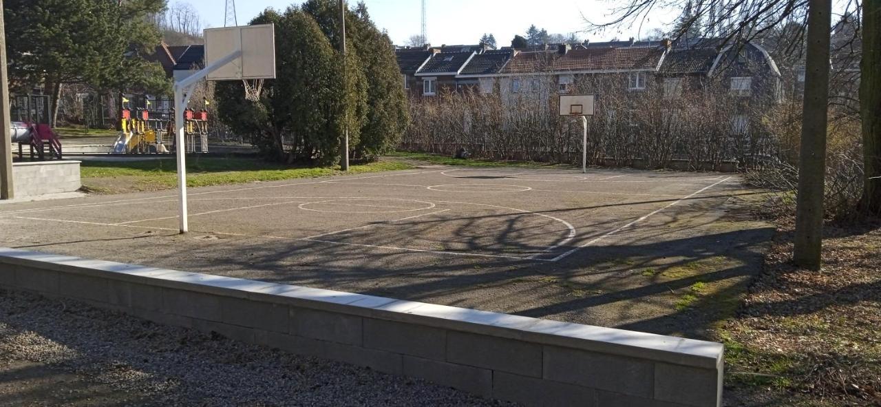 liège 4420 rue jean Jaurès 45 grande maison joyeuse avec terrasse 30m2 pour 8 personnes maximum Saint-Nicolas  Esterno foto